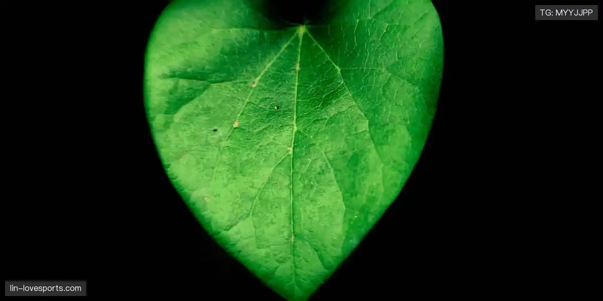 🎙️独家视角，听见汗水与荣耀的共鸣！💪